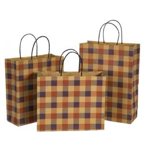 China Black White Food Snacks Packaging Craft Paper Bag for Shop Gift Shopping 16x6x12inches factory