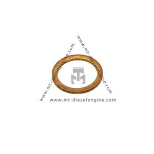 China Sealing ring 01118659 04260204 0111 8659 0426 0204 1118659 4260204 for Deutz TCD4.1 Engine factory