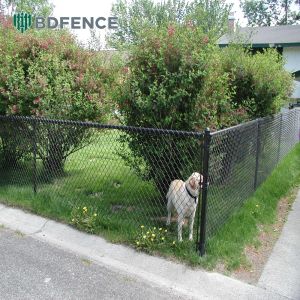 China Dog Playpen Chain Link Fence Chew-Proof Edging factory
