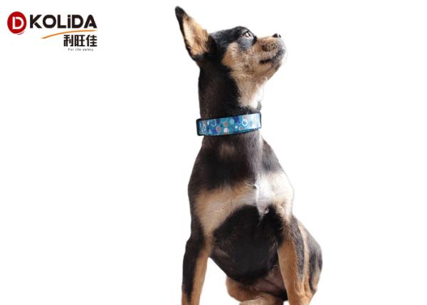 Material Nylon Sport Dog Collar Lightweight Adjustable Fit Dog Training /