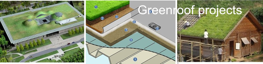 8mm-20mm Thickness Greenroof Dimple Mat Drainage Board with PE Material 2m Length