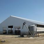 Durable Steel Structure Cow Shed Fire Resistant Long Lasting Metal Livestock