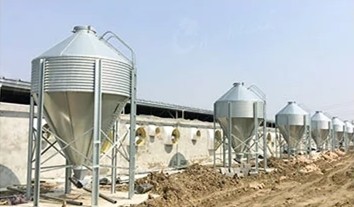 Auto Pan Feeder Steel Broiler Poultry Equipment