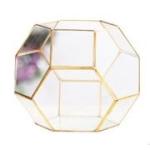 2016 New Glass Terrarium Container Tabletop Succulent Plants Holder glass Crafts