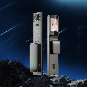 China 3D Face ID Electronic Entrance Door Locks Apartments Face Recognition Digital Lock factory