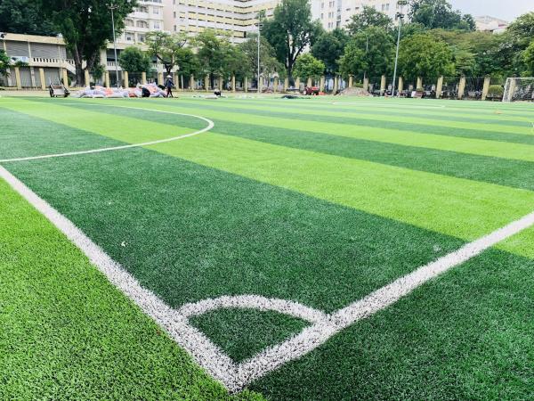 Football Grass Synthetic Grass 50mm Artificial Football Grass Artificial Turf