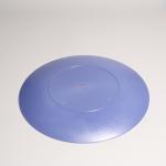 Customized Logo Printed BPA Free Round Plastic Food Tray