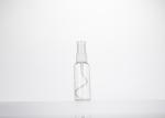 Empty PET Srpay Bottle Clear Small Refillable Liquid Container