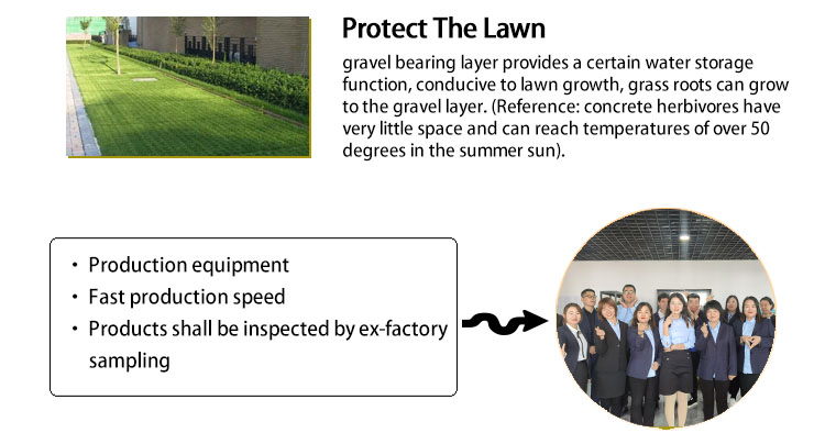 Tenglu Parking Lot and Driveway 500mm HDPE Grass Paving Grids in Plastic Material