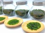 Dried Edible Algae Aonori Seaweed Japanese Sea Lettuce Powder Flake 50g For