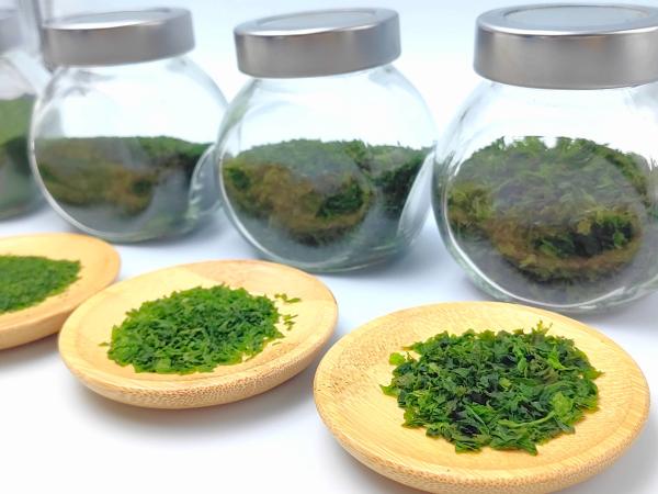 Dried Edible Algae Aonori Seaweed Japanese Sea Lettuce Powder Flake 50g For