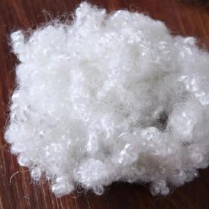 China Coiled Coil Hollow Conjugated Polyester Staple Fiber Recycled 51mm factory