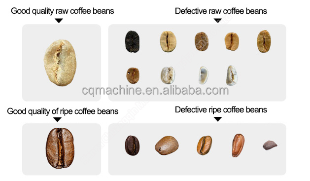 300W Coffee Color Sorter Machine Coffee Bean Color Sorter 70kg 110V-220V