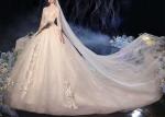 Comfortable Elegant Lady Wedding Dress / Long Tail Lace Bridal Gown