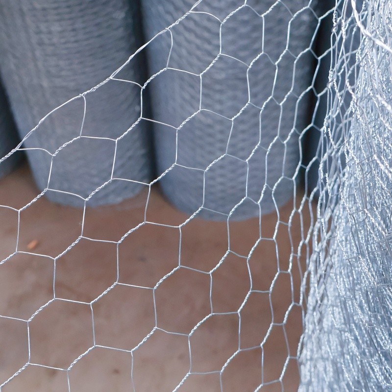 China BWG21X3/4&quot; Galvanized Hexagonal Wire Mesh Roll Chicken Net For For Chicken Coop factory