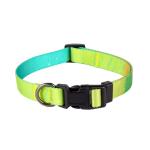 Luxury Retractable Dog Leash Gradient Colors Dog Collar Leash Set For Small Dog