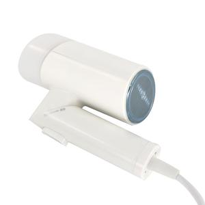 China 150ml Water Tank Capacity Household Mini Garment Clothes Steamer with Custom Design factory