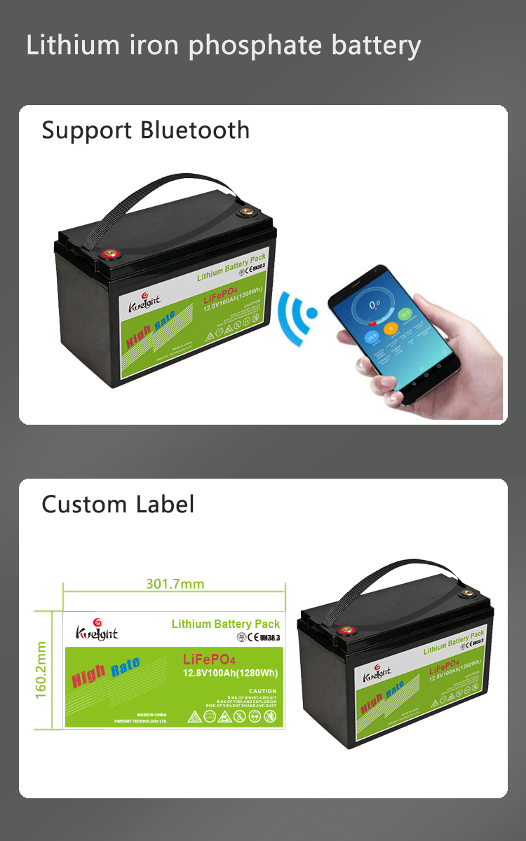 100ah 12V LiFePO4 Battery Lithium Pack For Home Appliances Use