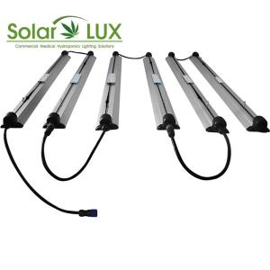 China Fanless Daisy Chain Grow Lights factory