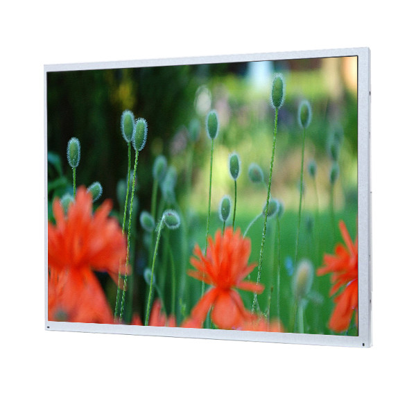 China LQ190E1LW02 LCD Display for Pro-face APL3900- TFM-BLD factory