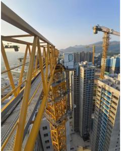 China W7020 QTZ250 Used Tower Crane With 10tons Load Capacity 70 meters Working Jib factory