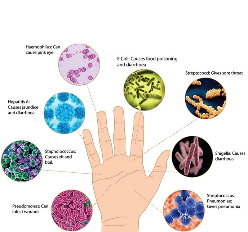 Alcohol Containing Antiviral Hand Sanitizer Waterless Hand Gel Clean Care