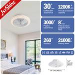 Compact Size DC Motor Ceiling Fan with Remote Control 1stshine and Color