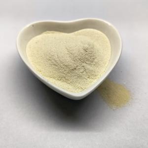China Nutritive Peptides Bioenzymolysis Active Peptide Chelate Fe Zn With GABA factory