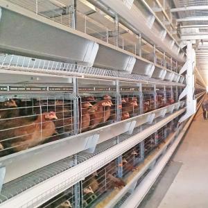 China 4 Tiers Chicken Egg Layer Battery Cage For Tanzania Poultry Farm Automatic Q235 factory