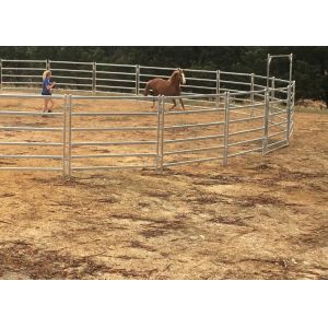 1.8m Height Galvanized Tube Heavy Duty Cattle Panel