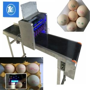 China High Speed Egg Date Stamp Machine , Industrial Continuous Inkjet Printers factory