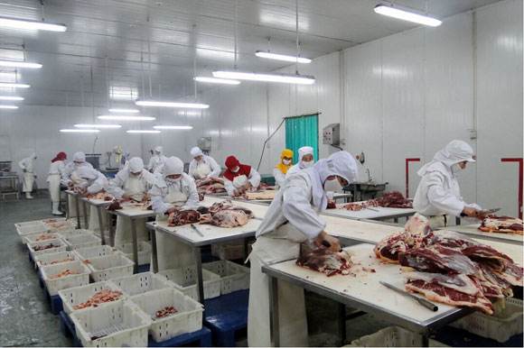Fast Freezing Meatball Dumplings IQF Tunnel Freezer Storage Room