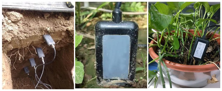 BGT UART RS485 MODBUS-RTU SDI12 Soil Moisture Temp EC Sensor Transmitter for Greenhouse