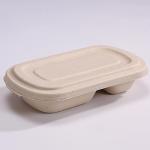 Eco Friendly Compostable Sugarcane Container 1000ml 2 Compartment Takeaway