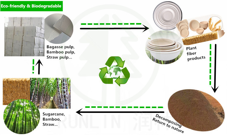 Sugarcane White Eco Friendly Container Biodegradable Compostable Bagasse Clamshell