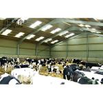 Hot Dip Galvanised Steel Cow Goat Horse Arena Cattle Sheep Shed for Poultry