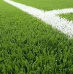 25mm Pile Height PP Artificial Turf for Soccer Field NYG010 Leisure Area