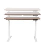Custom Automatic Electric Elevating Desk for Home Office Double Motor 2 Stage