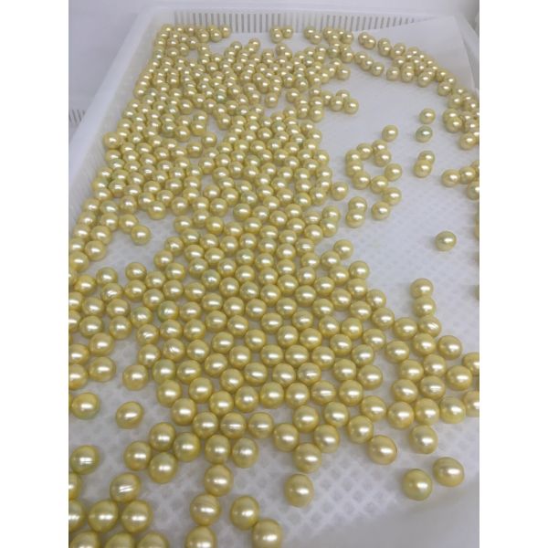 China Professional Medical Softgel Encapsulation Machine With Alarm System factory