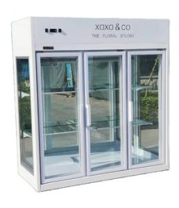 China Folding Door Refrigerated Floral Display Cases Air Cooling CE factory