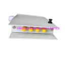 Indoor 4 Port FTTH Fiber Termination Box, 4 Cores ST Fiber Optic Splice Box Cold