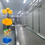 100T/D Industrial Mango Jam Processing Line Fresh Fruits Making Machine