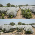 3.2m Agricultural Mulch Film