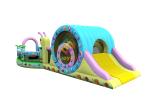 Versatile Safe Snail Theme Blow Up Play Park / Indoor Inflatable Park