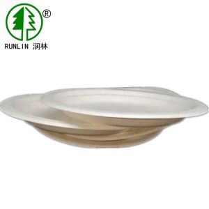 China 100% Biodegradable Disposable Bagasse Plates for Fast Food Restaurants on sale