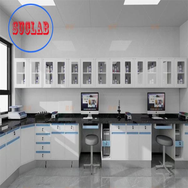 China Customized Made Size Chemistry Lab Bench Price Efficient Performance factory
