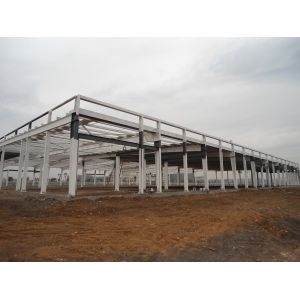 Industrial Steel Structure Building with Galvanized/Painted/Cladding Finish and