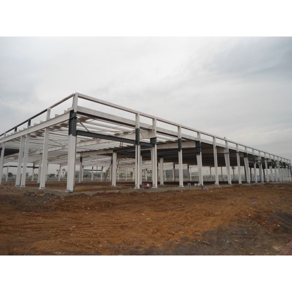 Industrial Steel Structure Building with Galvanized/Painted/Cladding Finish and