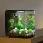 Aquarium Strong Magnetic Cleaner Algae Magnet Cleaning Tool with Scraper