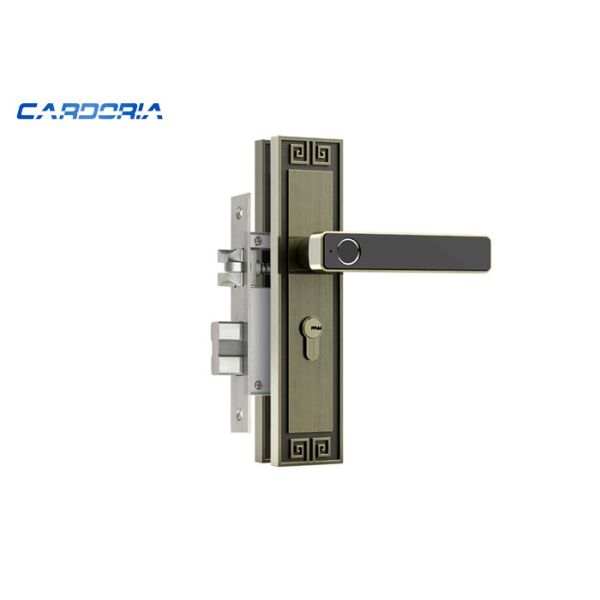 China Sturdy Fingerprint House Door Lock With Rechargeable Lithium Battery factory